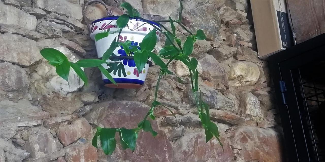 Casa Rural Abuela Maxi Riolobos Luaran gambar