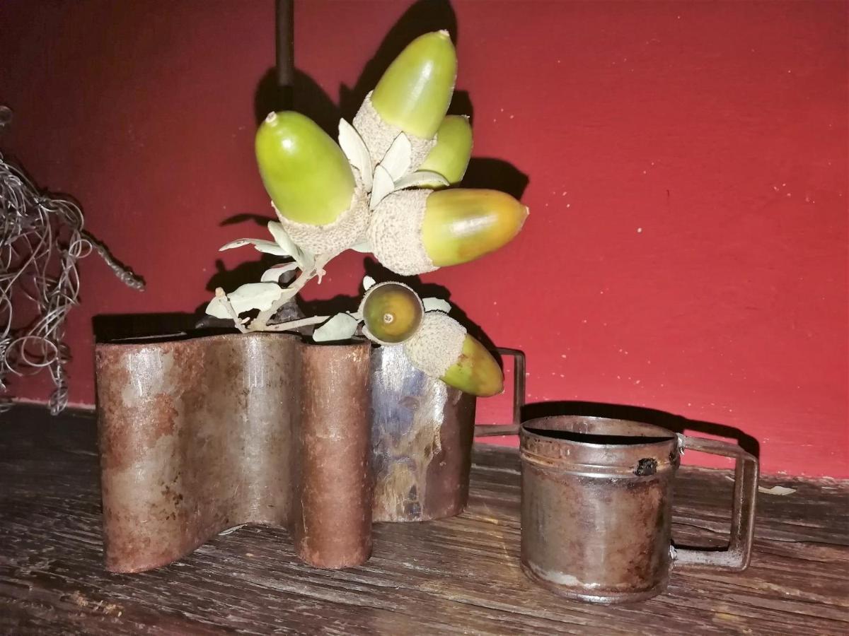 Casa Rural Abuela Maxi Riolobos Luaran gambar